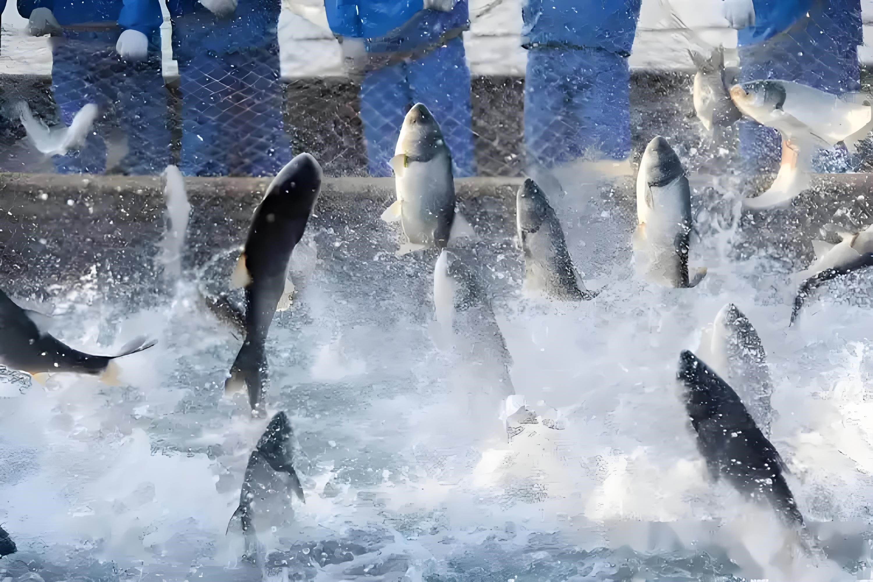 de004aae-9cc5-4b52-bd18-0420b63ada1c.jpg de004aae-9cc5-4b52-bd18-0420b63ada1c.jpg